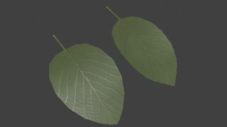 leaf