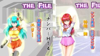 BattleHeroine The File V6 #HT4 / HT5 / HT6