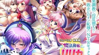 Magical God Princess Lyrica CG Novel Version Compilation ~ Fallen to lewdness with pleasure training!? Defeated heroine humiliating NTR sex ~