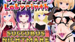 Succubus Labyrinth and SUCCUBUS NIGHTMARE -DESIRE- [Simplified Chinese version]