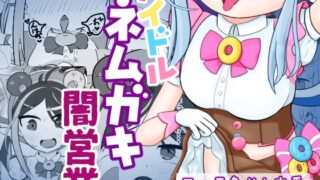 A book that lets idol kiddies do underground business