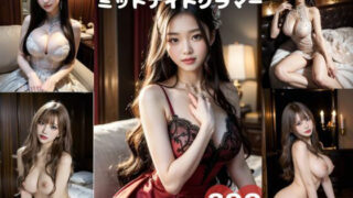 AI Gravure Midnight Glamor Night beauty wrapped in a dress 313 pages