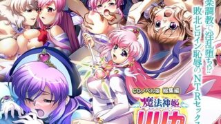 Magical Divine Princess Lyrica CG Novel Version Compilation ~ Fallen into a lewd man through pleasure training! ? Defeated heroine humiliating NTR sex~