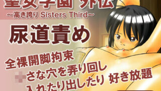 Seijo Gakuen Gaiden ~High Pride Sisters Third~