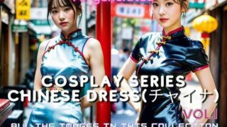 Cosplay series Cheongsam (cheongsam) edition na003-1