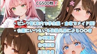 500-piece CG collection of hand-me-down H (2) Pink hair (school uniform in the car, maid uniform in the warehouse), ○○ people by the gymnastics brothers who are always in the park (Hina Shirasaki, Rina Shirasaki, Mio Kawahana) ) Some lines included