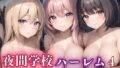 Night School Harem 4 [Super volume of 500 discs, 10 discs with happy lines included]