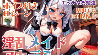 [Win/Mac/Smartphone] “Nympho Maid Academy” ~ Undress the maids with a naughty quiz! ~