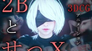 2B AND X-3 DCG Animation –