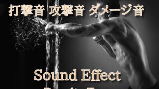 Hit sound Attack sound Damage sound effect 35 Special attack From nowhere!