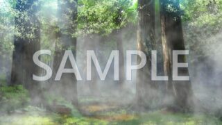 [Background material] Misty forest (6045_bg23) [with time difference]