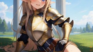 High leg armor style elf