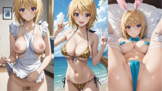 Charlotte Dunois CG collection Vol.1~5